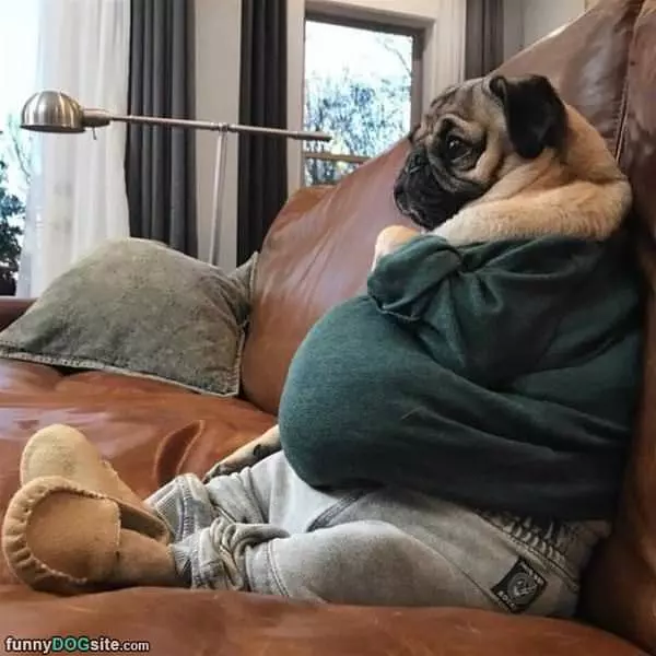 Chilling Here