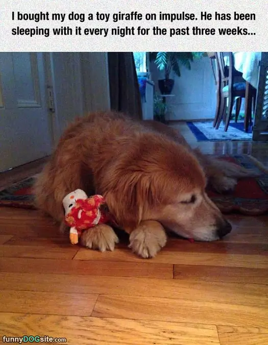 Toy Giraffe