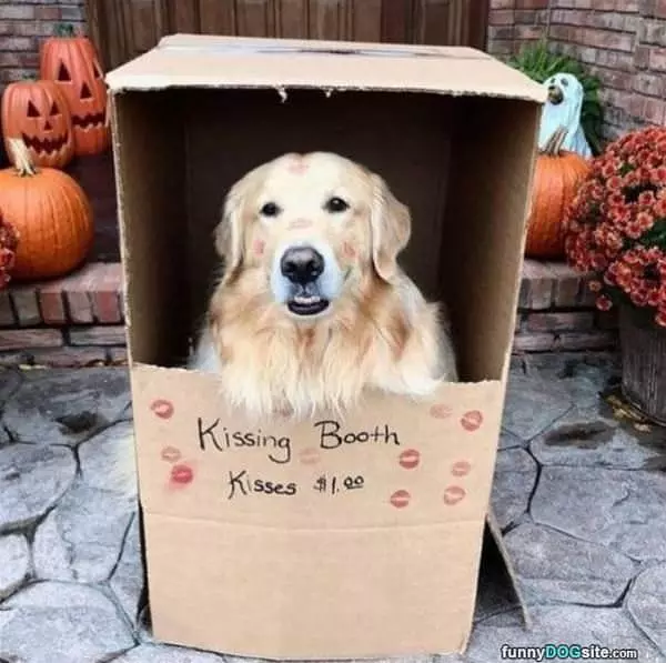 Who Wants Kisses