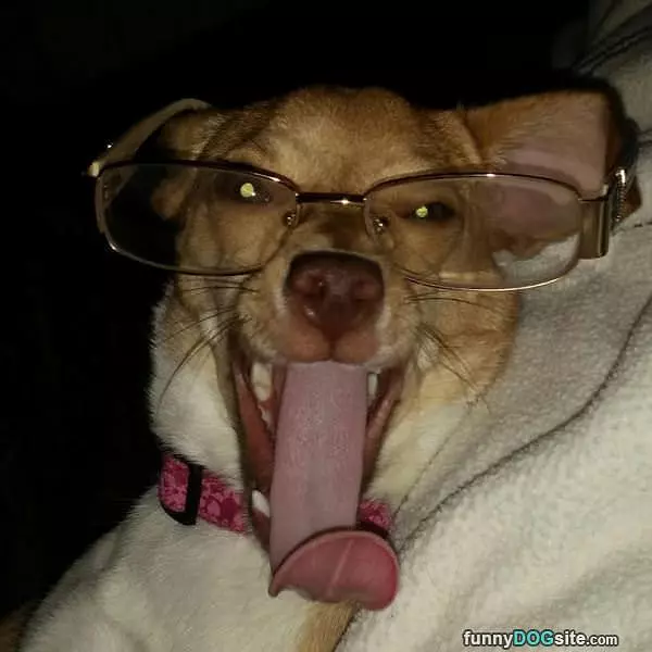 Waking Up With Glasses