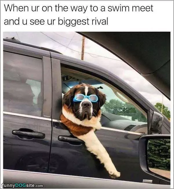 On The Way To The Swim Meet