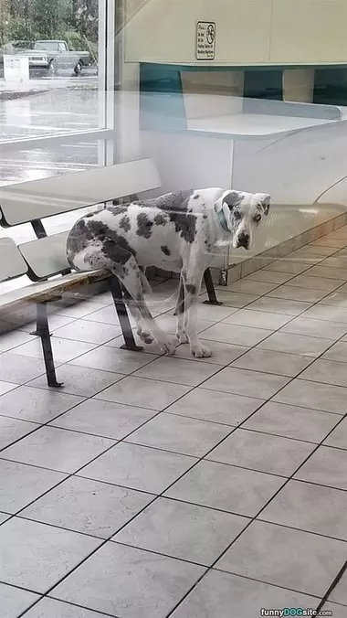 A Place To Sit Down