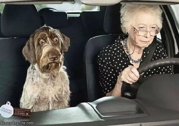 Bad Driver