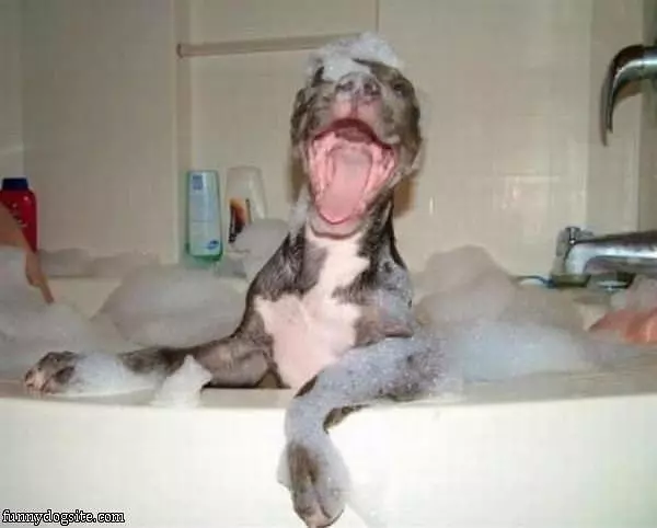 I Love Bath Time