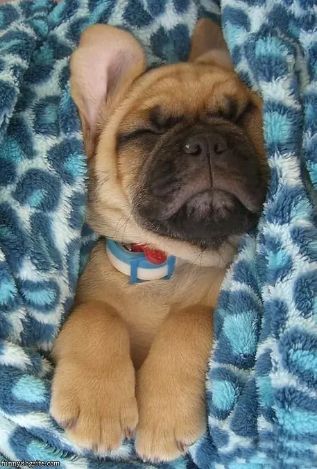 So Chilled Out