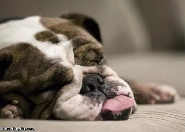 So So Sleepy