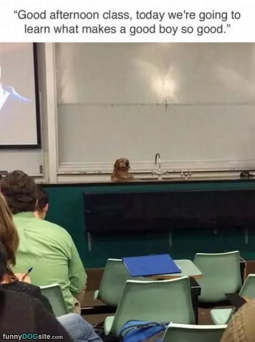 Good Afternoon Class