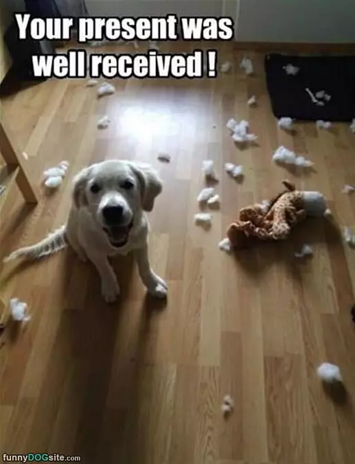 Present Was Well Received