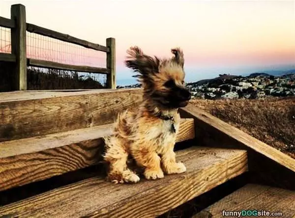 A Breezy Day