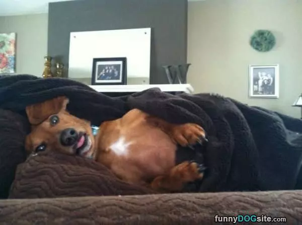 All Tucked In Here