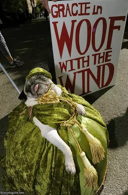 Large Pug