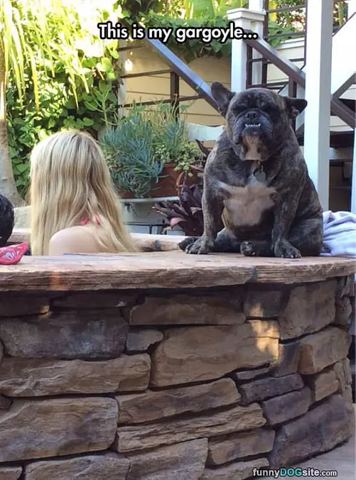 Gargoyle