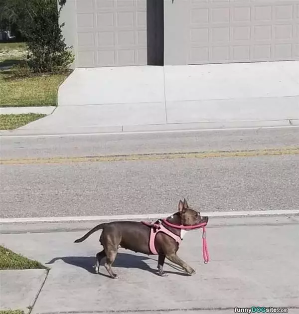 On A Walkie