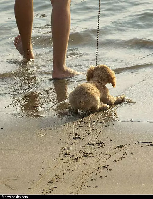 No Water Please