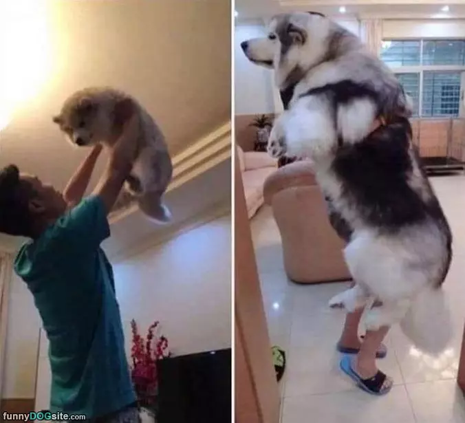 They Grow Up So Fast