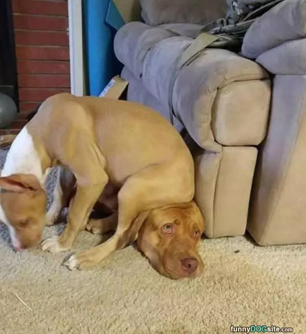 Found My Seat