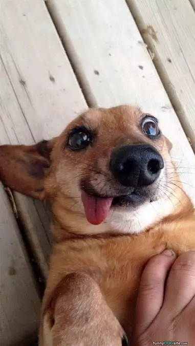 My Tongue Out