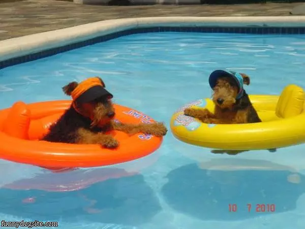 Hanging In The Pool