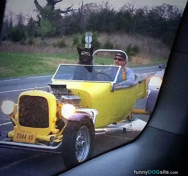 Going-for-a-ride