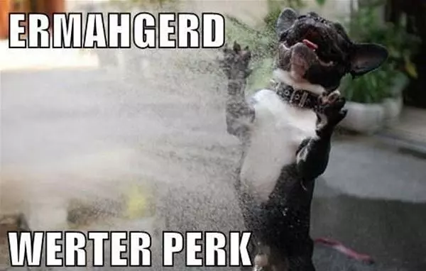 Water Park