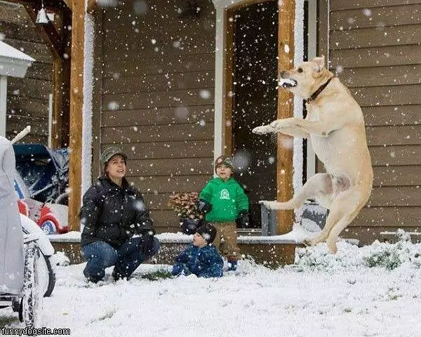 Snow Biter