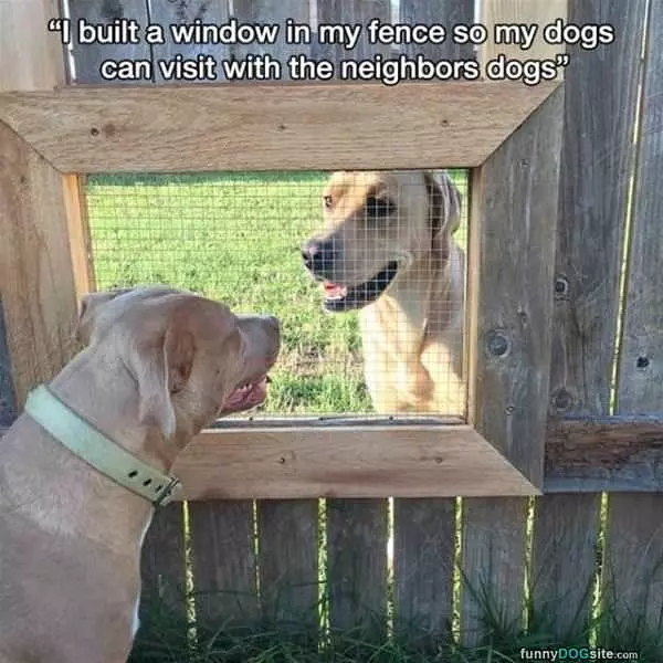 Built A Window