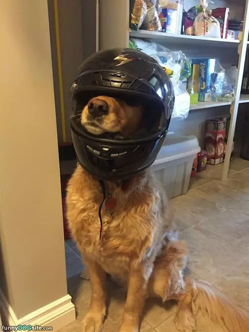 Ready For A Bike Ride