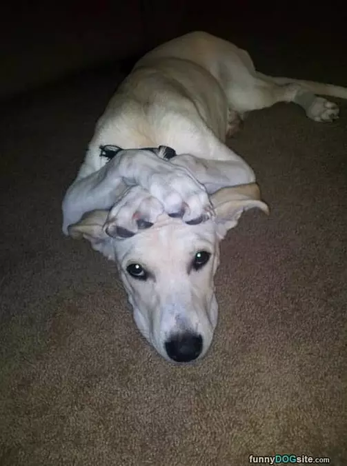 Hands On Your Head