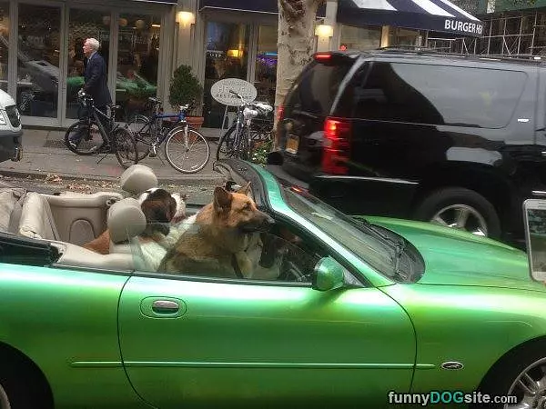 Out For A Ride