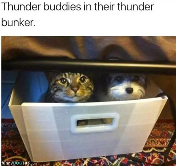 Their Thunder Bunker