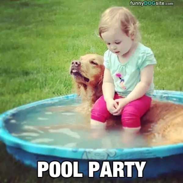 Pool Party