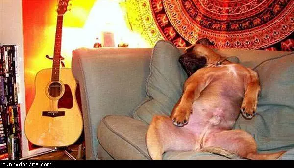 Needed A Nap Bad