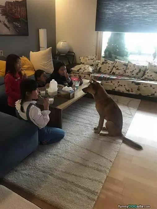 A Snack Please