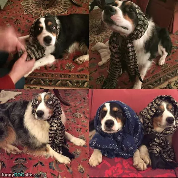 Just Playing Dress Up