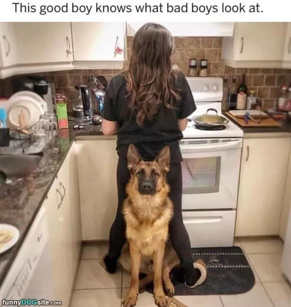 This Boy Knows