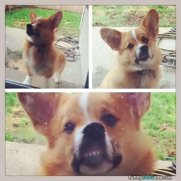 Heyyyyyy