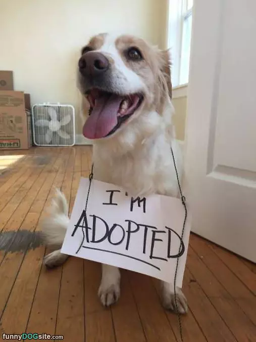 Im Adopted