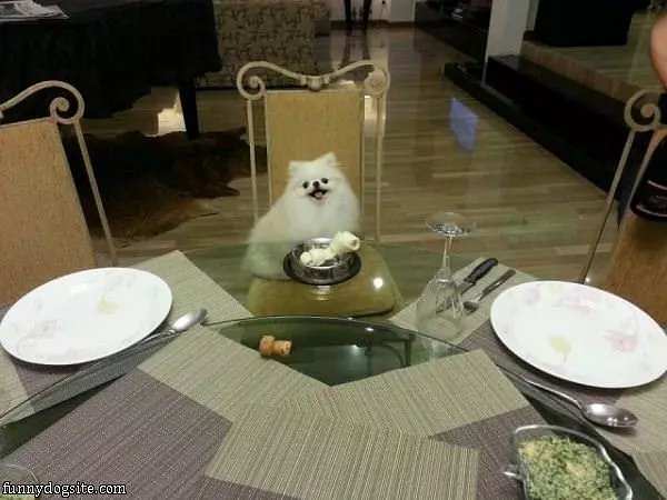 Ready For Dinner Time