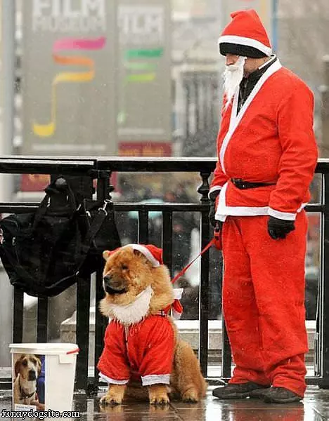 Santa And His Dog