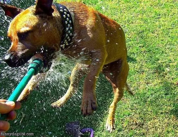 Gimme That Water