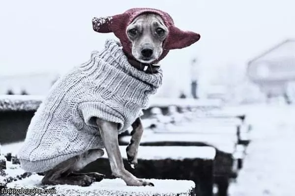 What Its Cold