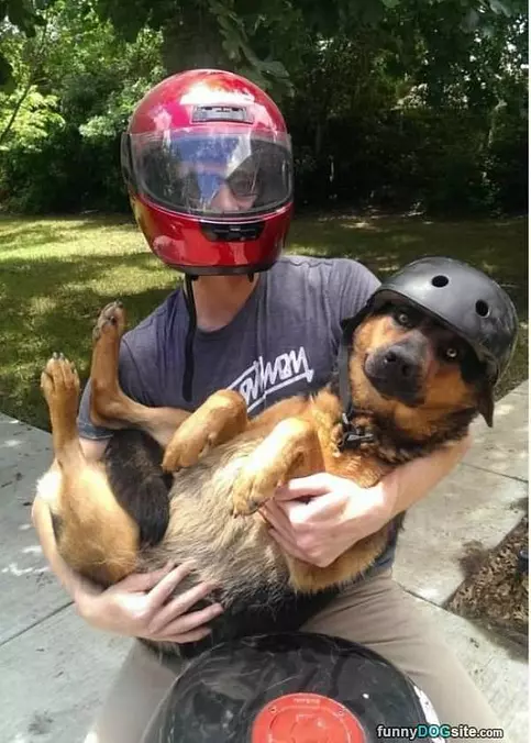 This Is My Best Buddy