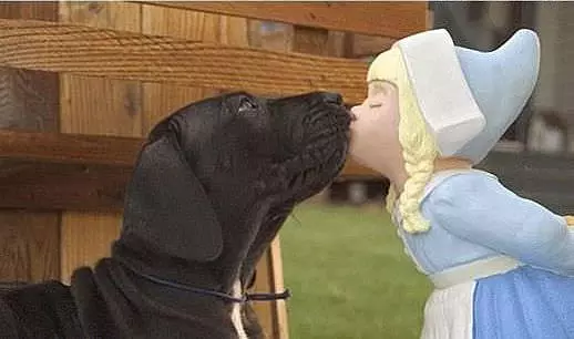 Kisses