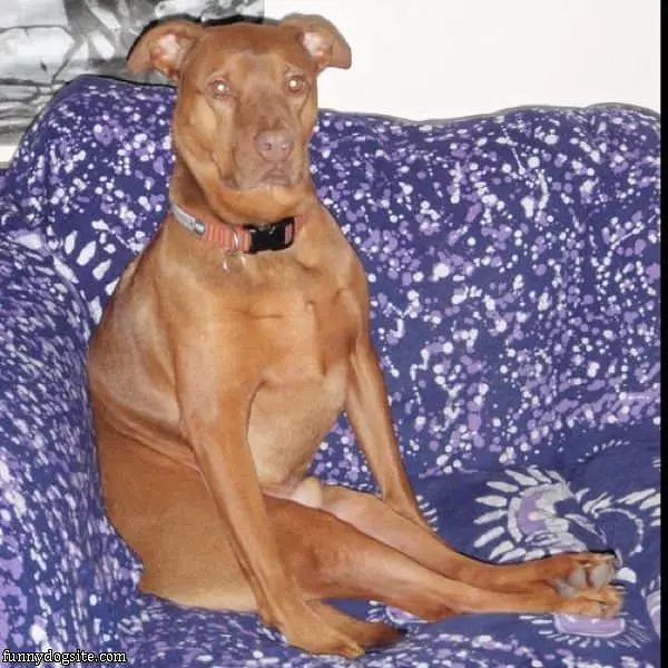 Sit How I Want