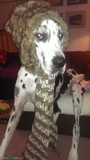 Wooohooo Nice Hat