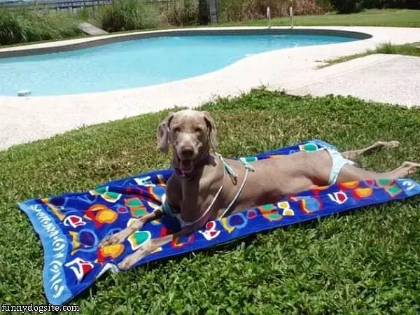 Suntanning