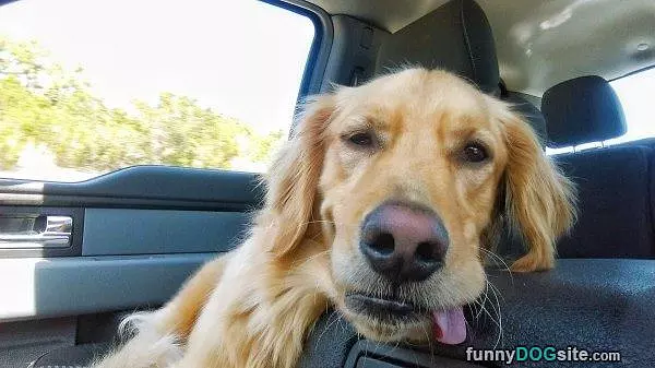 I Am Tired