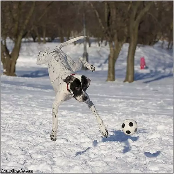 Want To Play