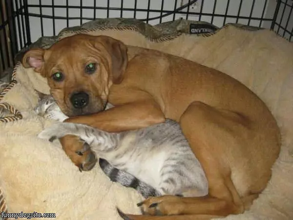 You Are So Warm