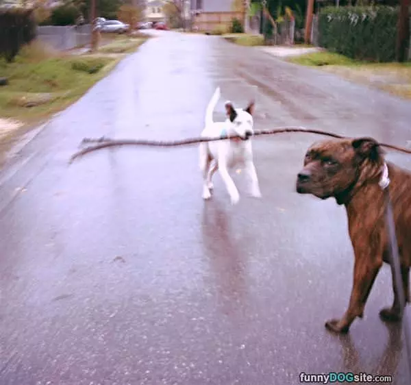 Awesome Fetch